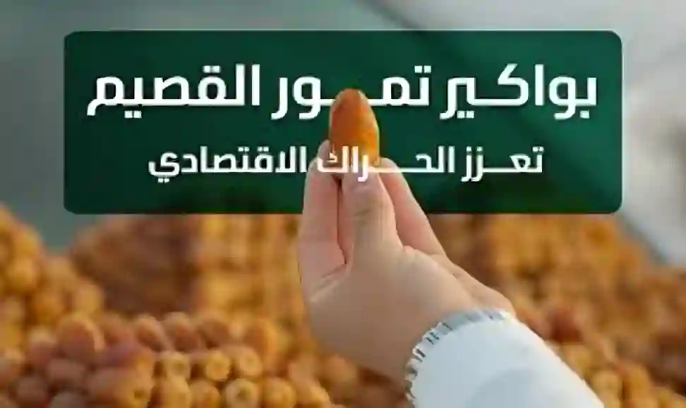 القصيم تبدأ موسم جني التمور