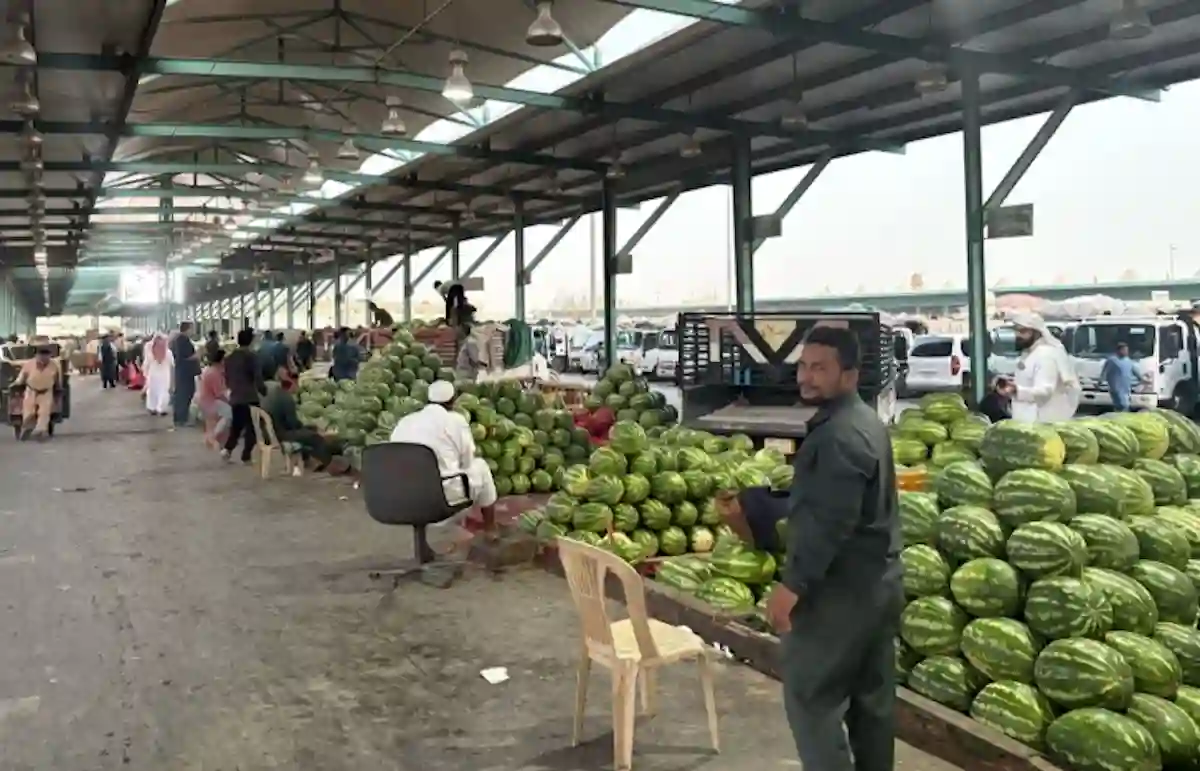 البطيخ السعودية