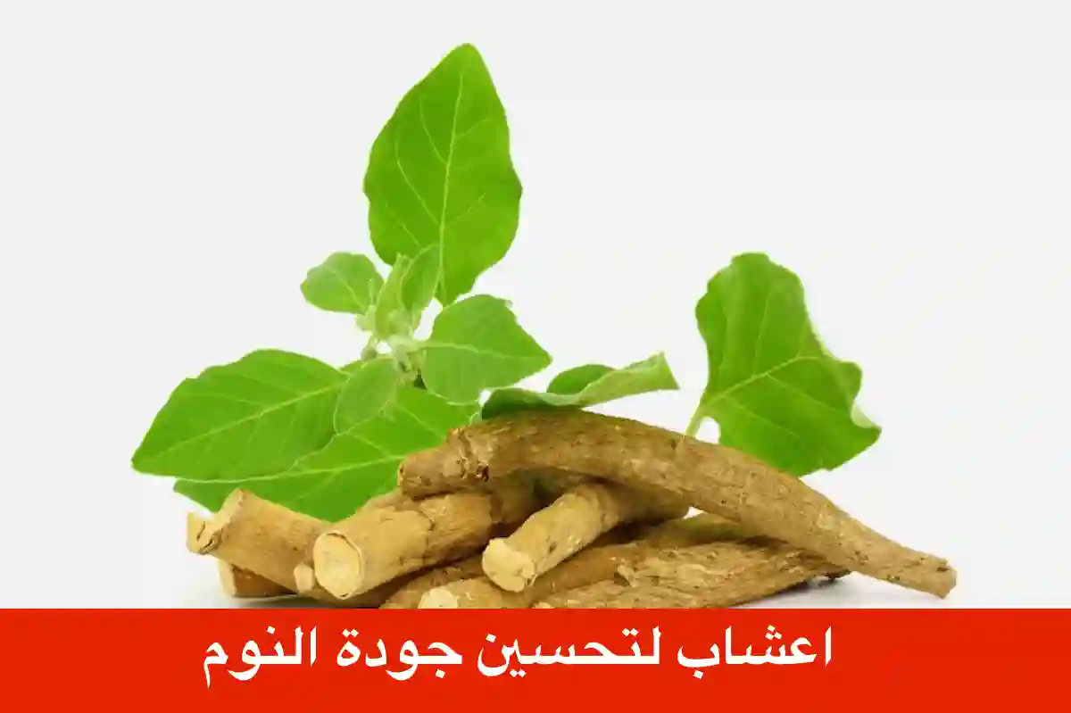 اعشاب لتحسين جودة النوم
