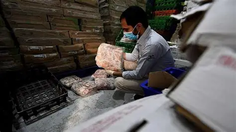 أطنان من الدواجن تعدم بالرياض