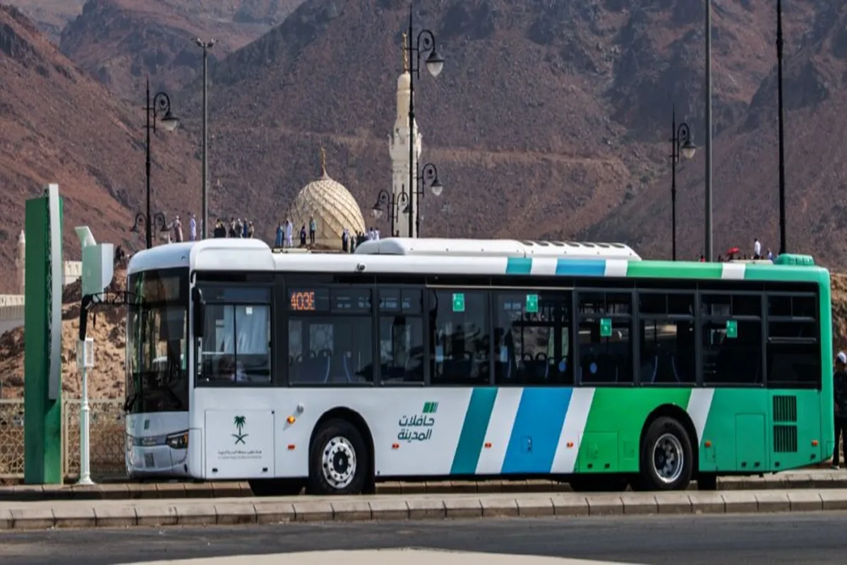 حافلات المدينة 