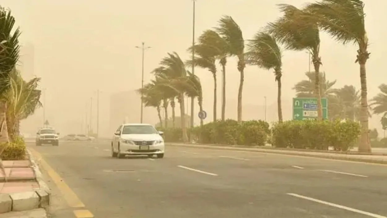 طقس تبوك