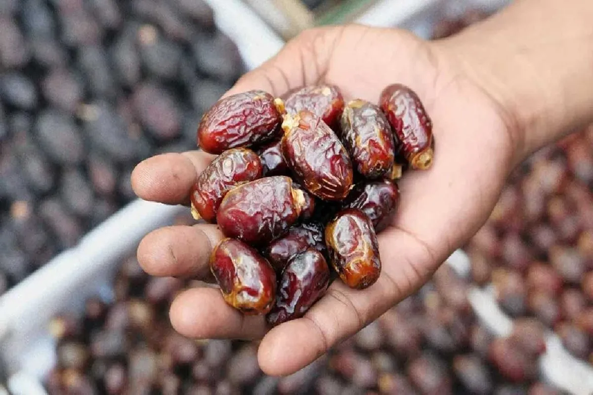 التمور 