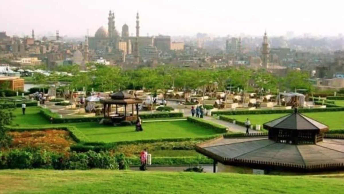 إنقاذ حياة