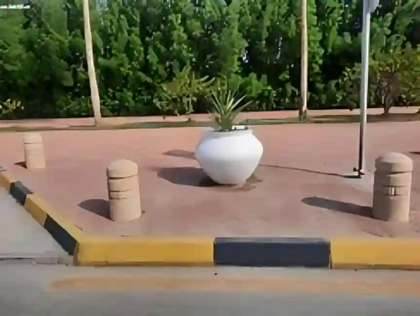 الباحة تُزيل آلاف التشوّهات البصرية