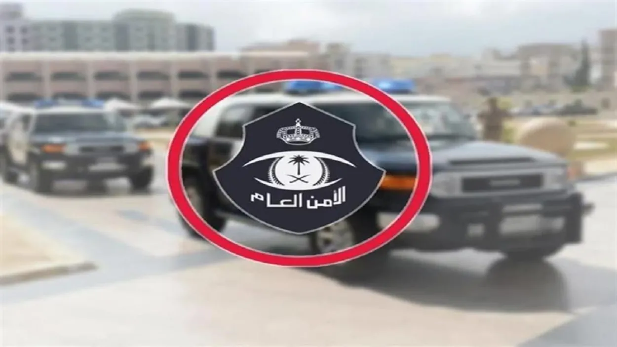 جهود المملكة