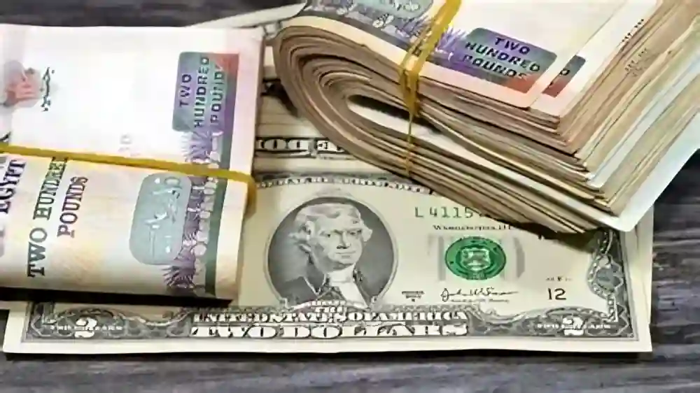 الجنيه المصري يتماسك أمام الدولار