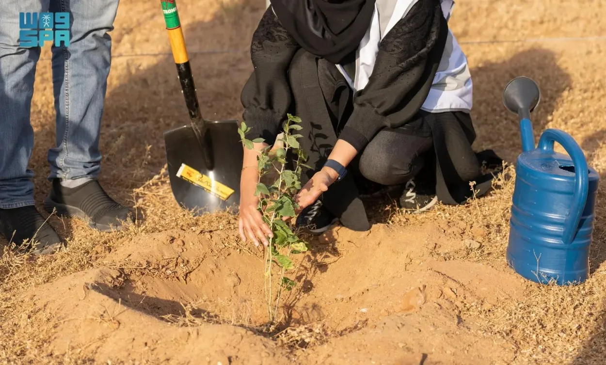 البيئة المستدامة