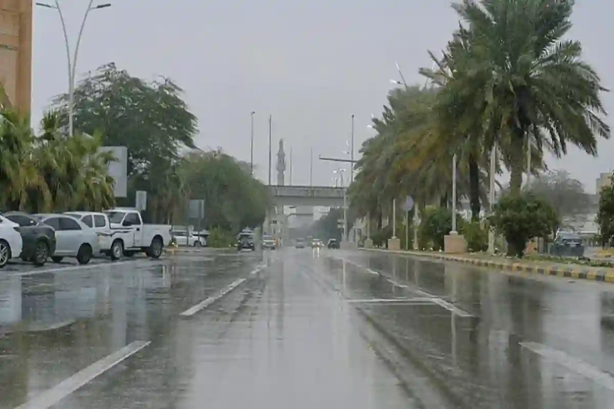 صقيع ورعد