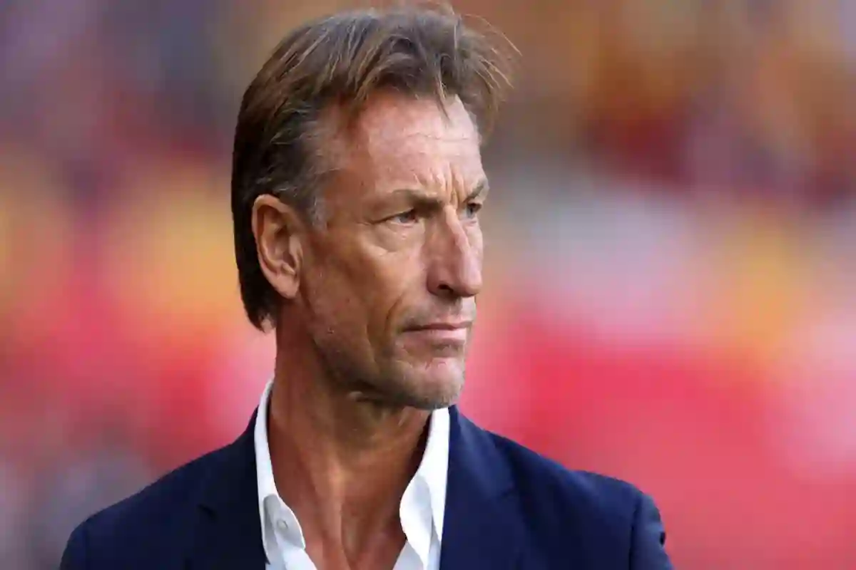 إيرفي رينارد