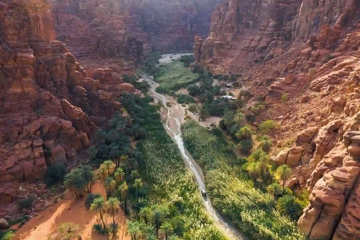 محمية الأمير محمد بن سلمان