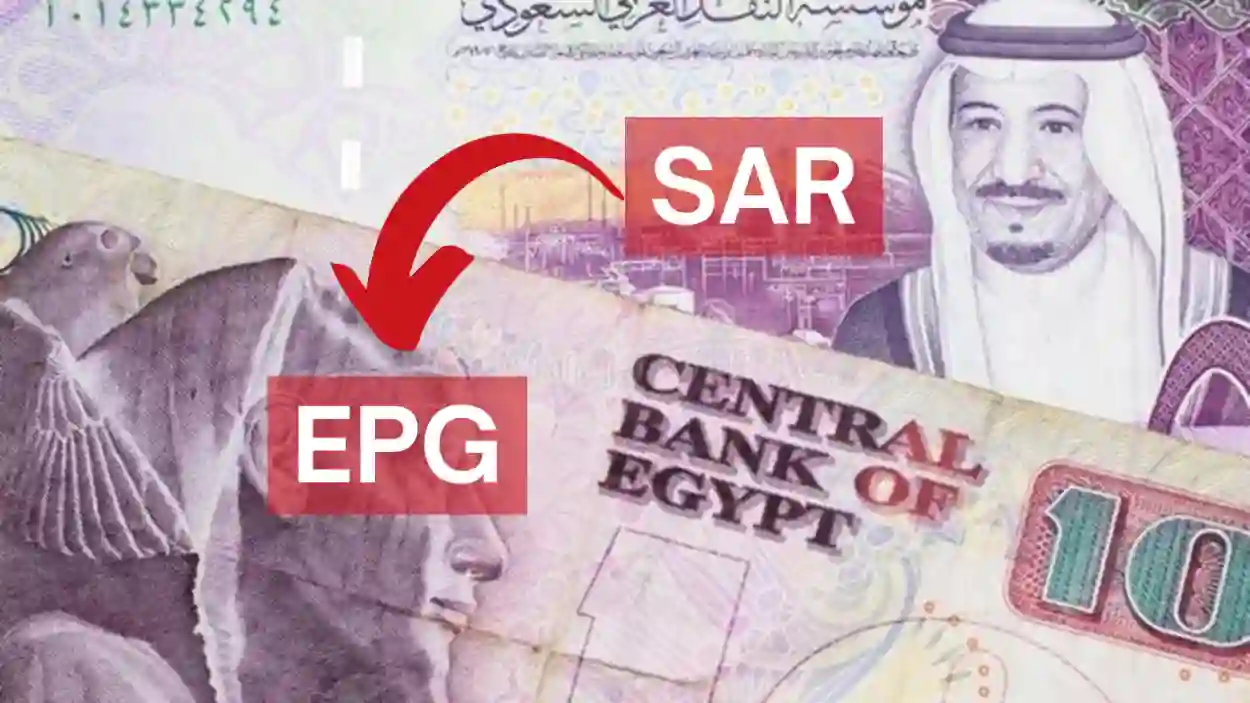 سعر الريال السعودي أمام الجنيه المصري