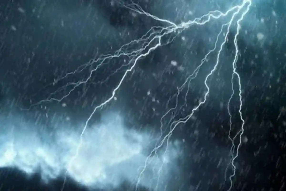 عقيل العقيل